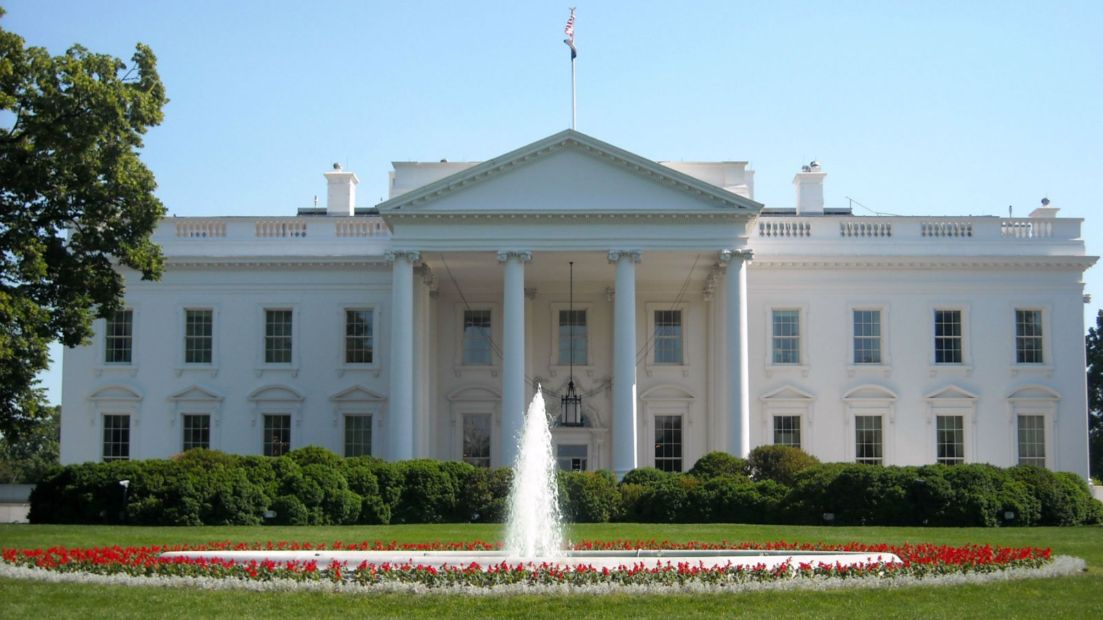 US Presidential Election Odds 2020 Weekly Rundown: Trump Down