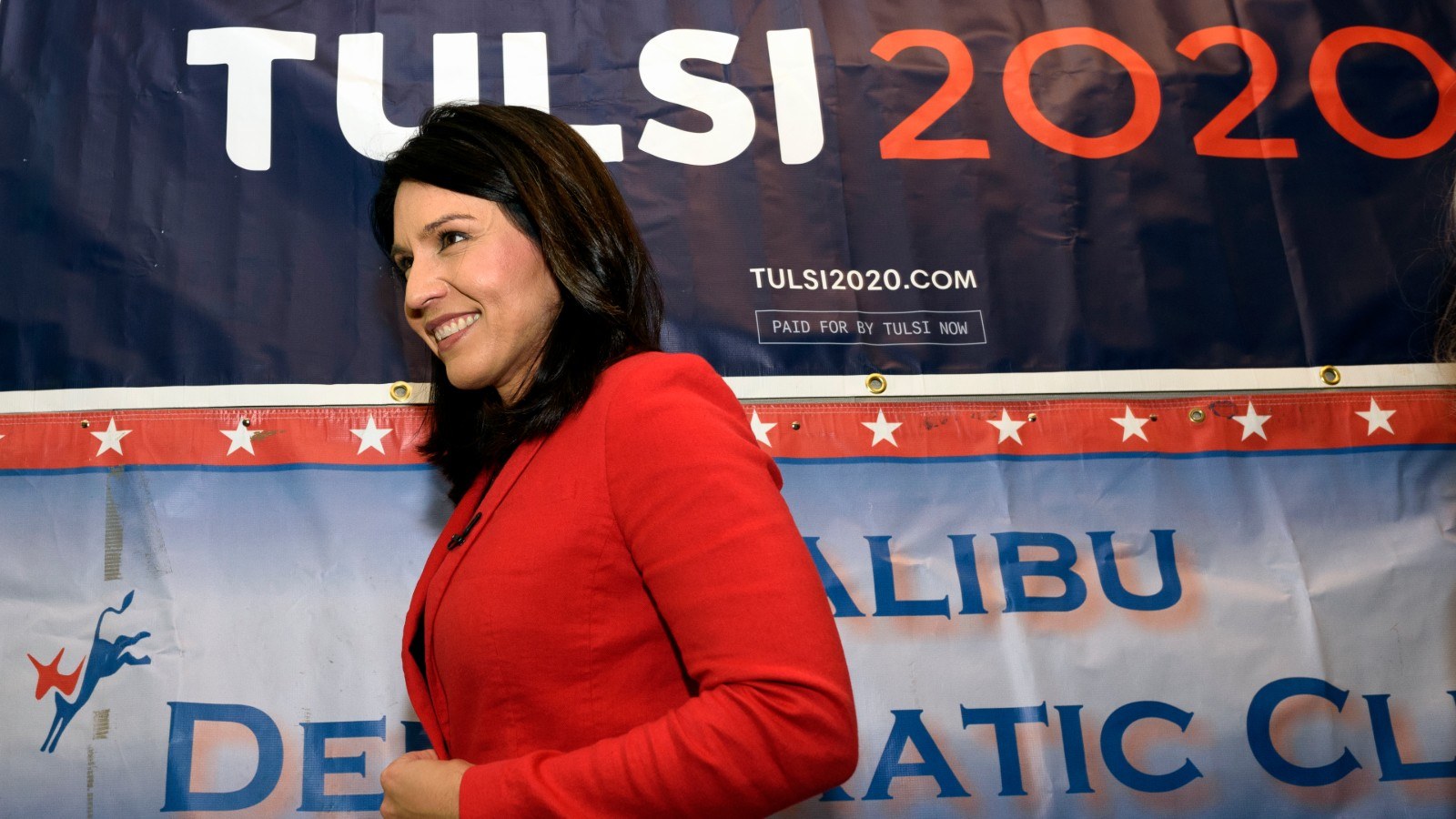 Long-Shot Candidates to Watch in Second Democratic Debates