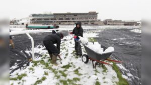 Will Racing at the 2024 Cheltenham Festival Go Ahead?