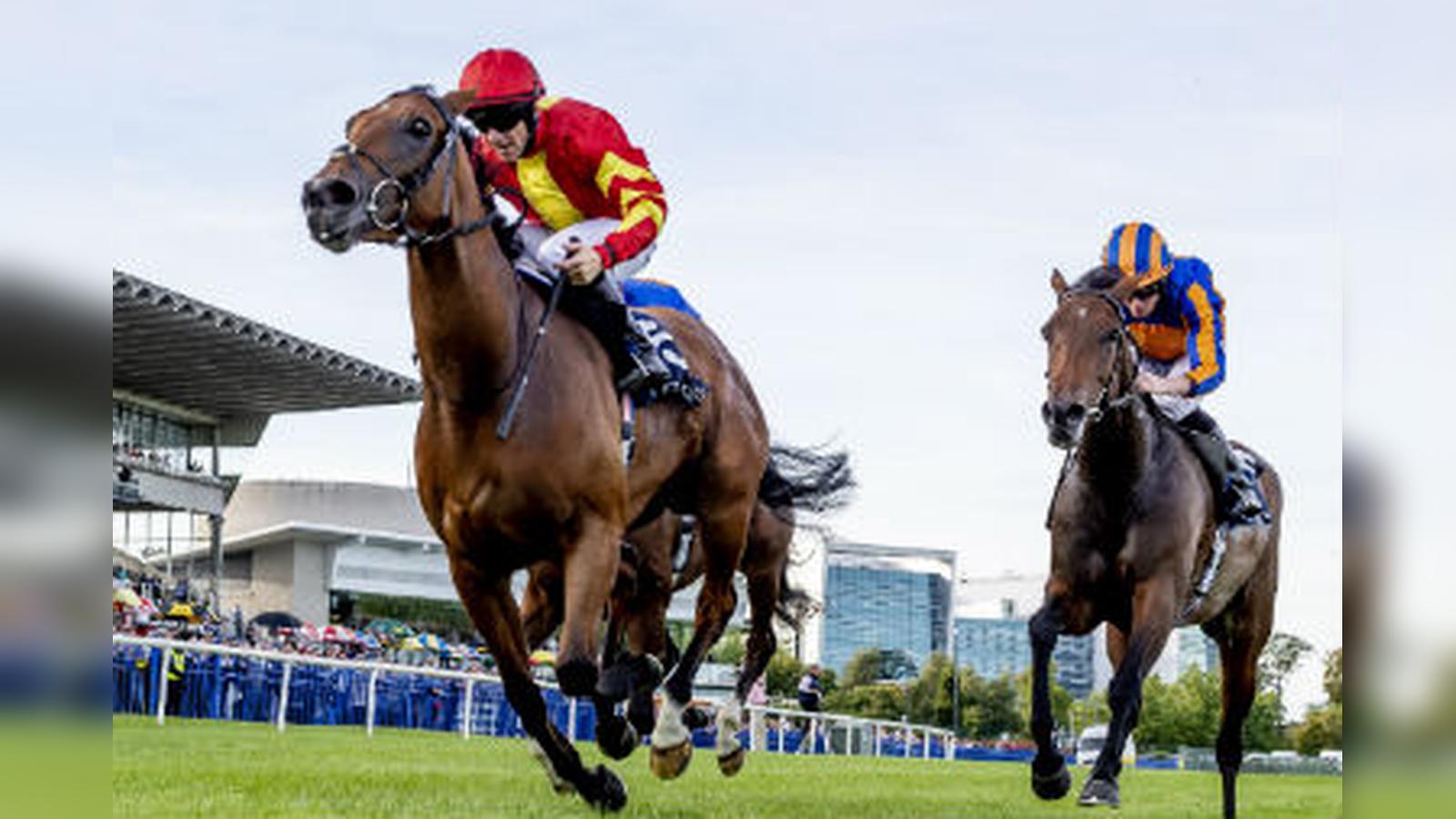 Jump Stars All Set For Dublin Racing Festival at Leopardstown