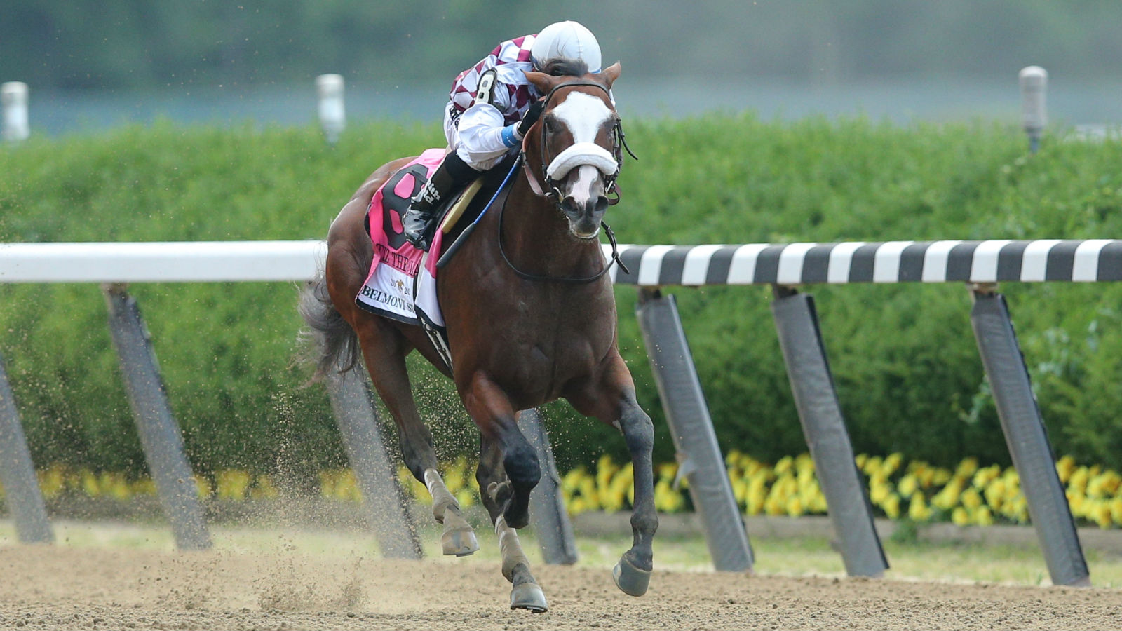 Michigan Begins Accepting Online Horse Racing Wagers