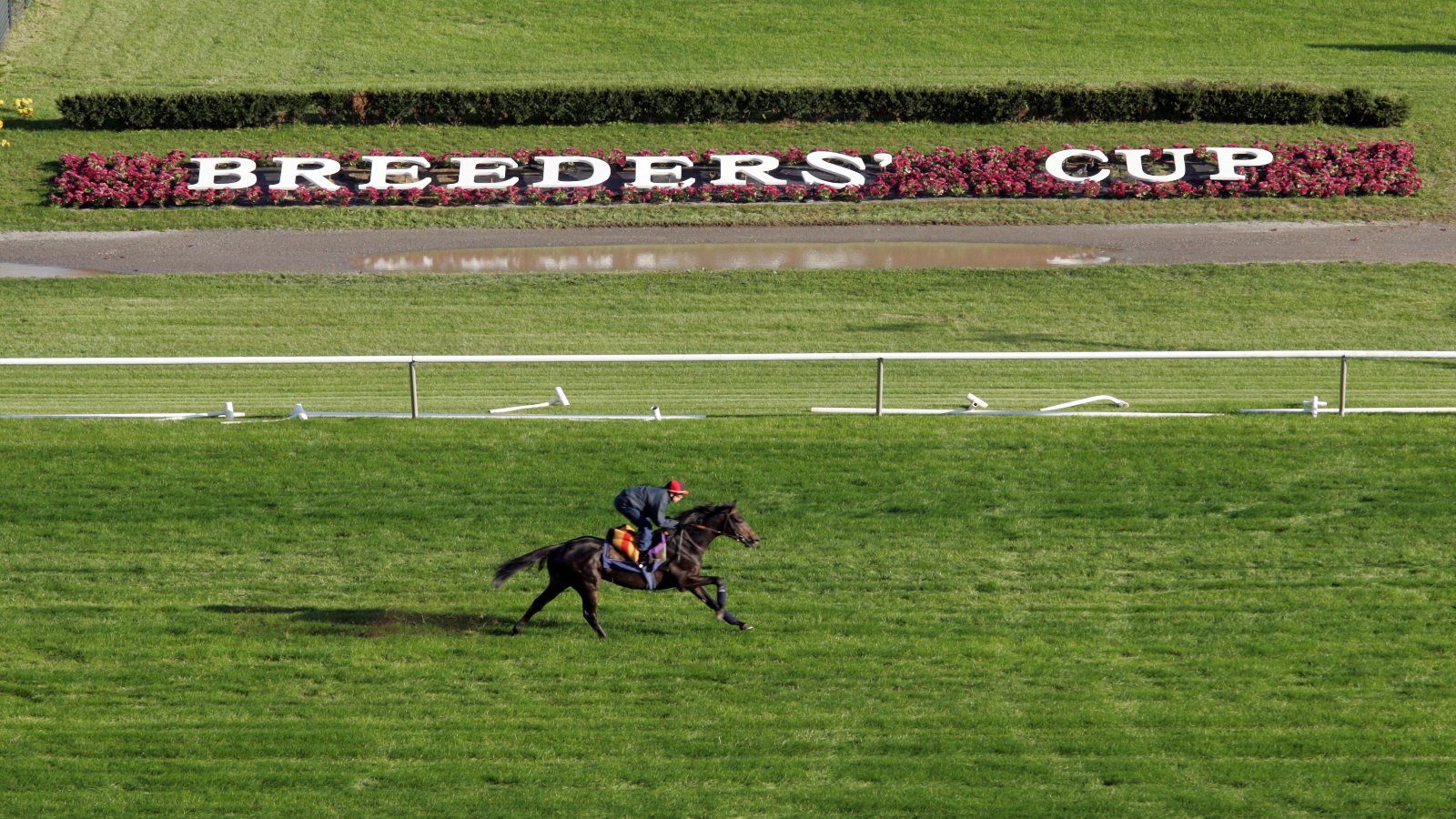 Best Breeders' Cup Free Bets and Betting Offers 2025 - Day 2