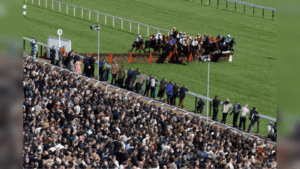Cheltenham November Meeting Key Stats, Trends & Pointers