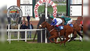 Tote Scoop 6 Races & Expert Betting Tips Saturday 8th {{